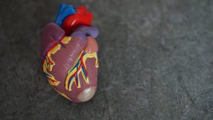 heart issues and poverty in malaysia